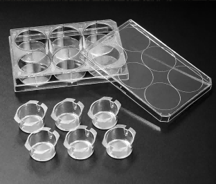 懸掛式細胞培養(yǎng)小室